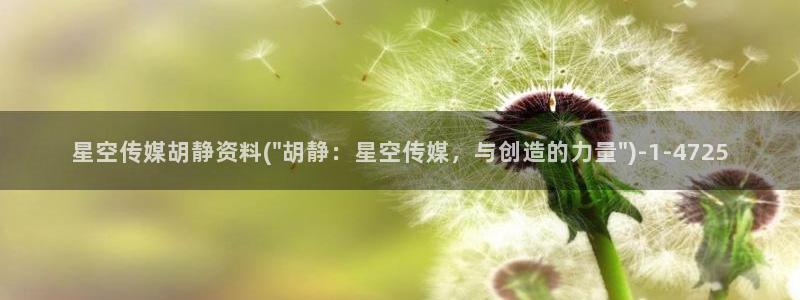 星空传媒团购网