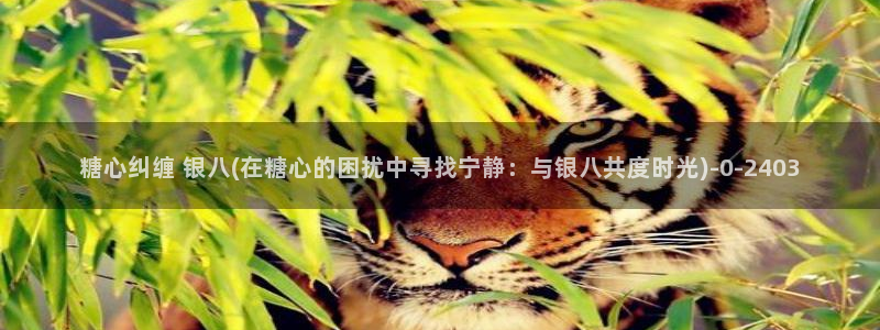 糖心vlog小二