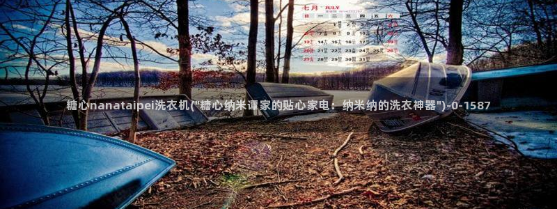 糖心 vlog免费