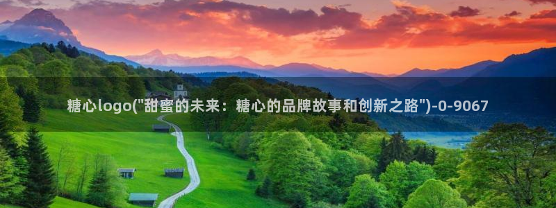 糖心vlog是啥