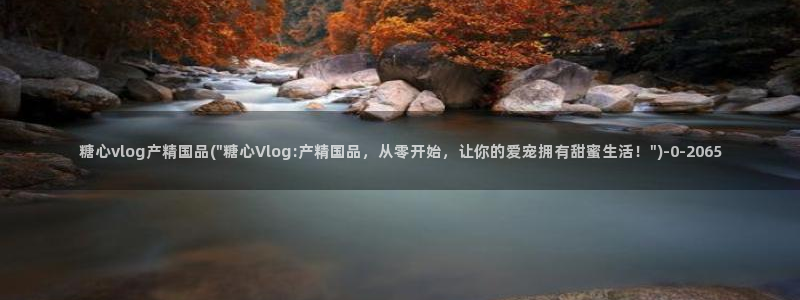 糖心vlog是什么