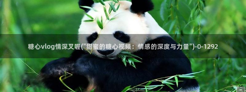 糖心vlog破解版免费下载