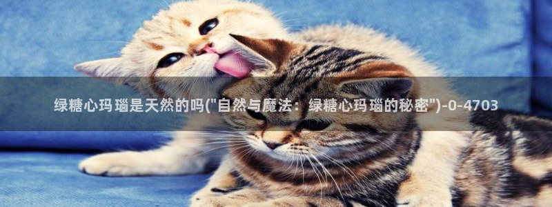 心糖vlog 网站