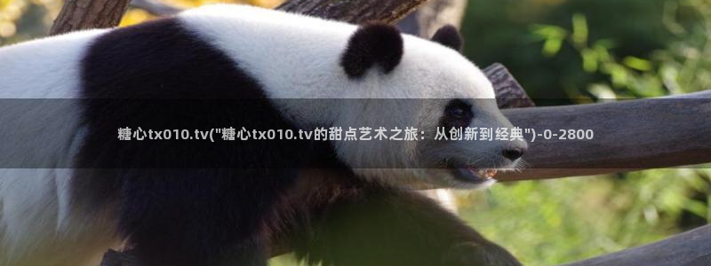 如何加入糖心vlog