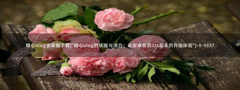 糖心vlog进入在线
