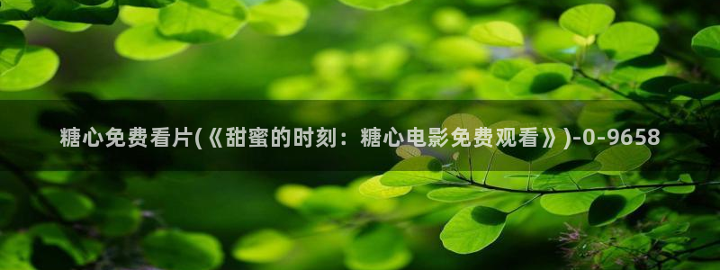 糖心vlog会员