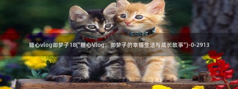 lingxi糖心vlog