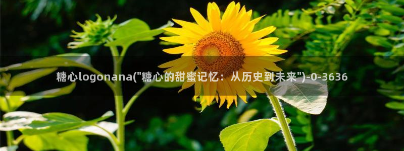 糖心vlog头像