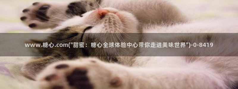 心糖vlog谁最好看