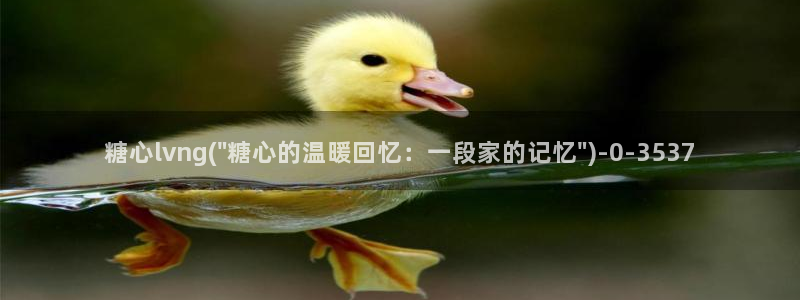 糖心vlog网页版免费观看 度